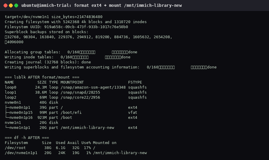 mkfs.ext4 on the 20G disk and lsblk showing nvme1n1p1 mounted at /mnt/immich-library-new, with 19G free.