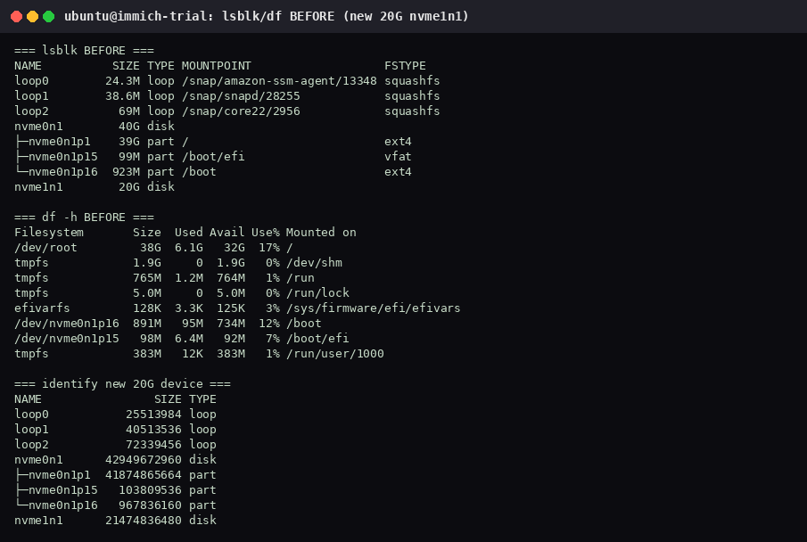 lsblk before formatting: nvme0n1 is the 40G root disk, nvme1n1 is an empty 20G disk, and df shows the root filesystem 17 percent used.