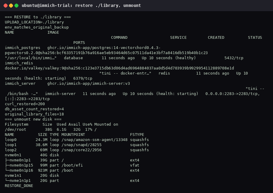 Restore back to UPLOAD_LOCATION=./library, curl 200, asset count 4, 18 original library files, and the 20G disk unmounted.