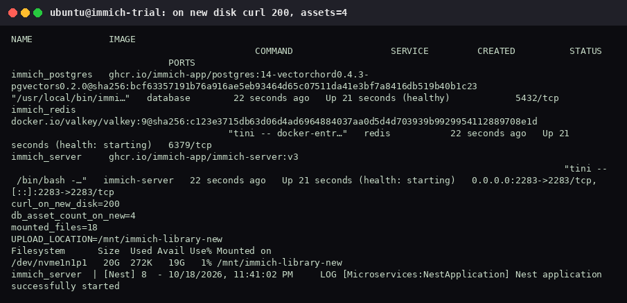 After the move, curl returned 200, the asset count stayed 4, 18 files were on the new mount, and the server log said Nest started.