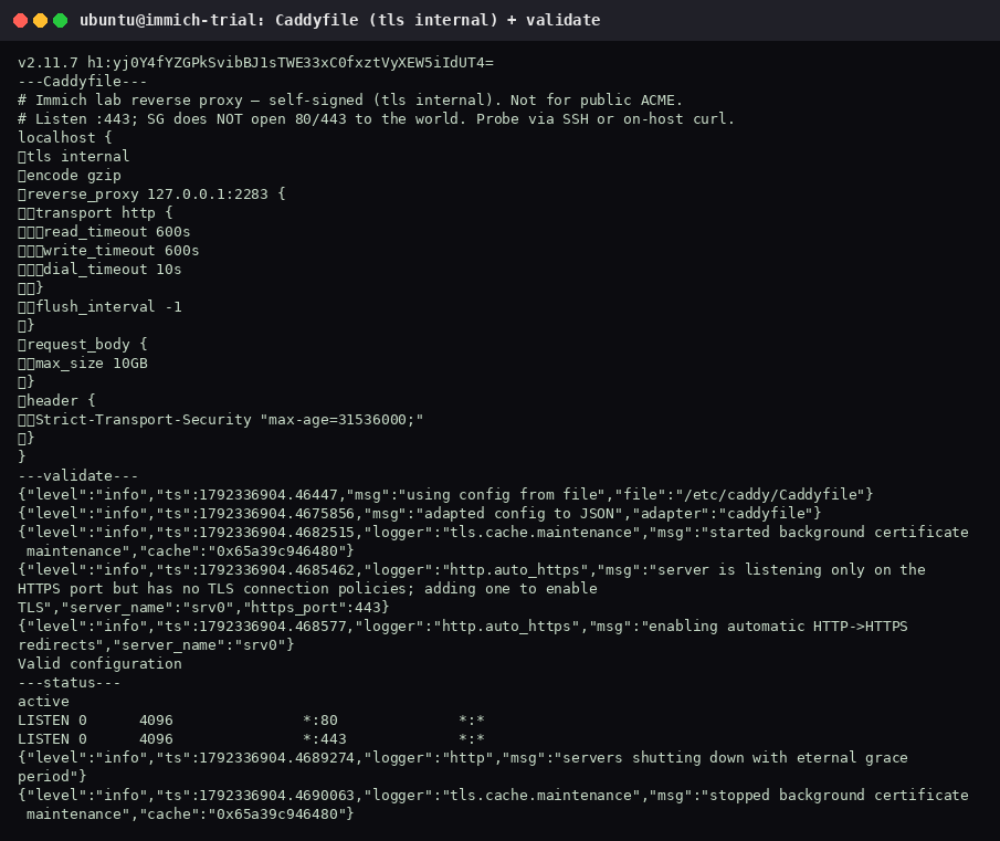Terminal showing Caddy v2.11.7, a localhost Caddyfile with tls internal and reverse_proxy to 127.0.0.1:2283, Valid configuration, and listeners on ports 80 and 443.