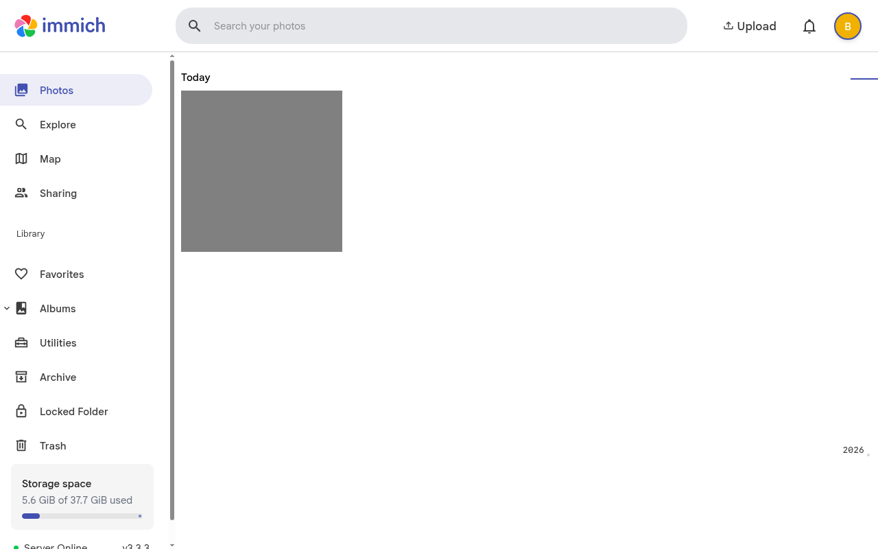 Immich timeline with gray.jpg after a successful upload. The thumbnail is a flat gray square.