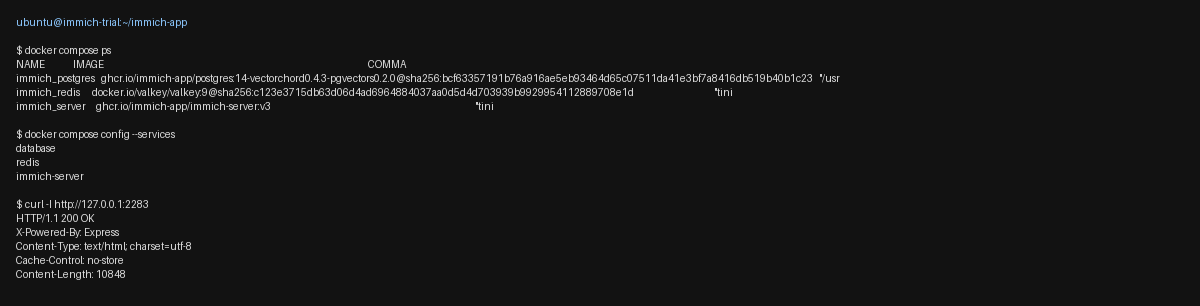 docker compose ps showing immich_server healthy, plus immich_redis and immich_postgres.