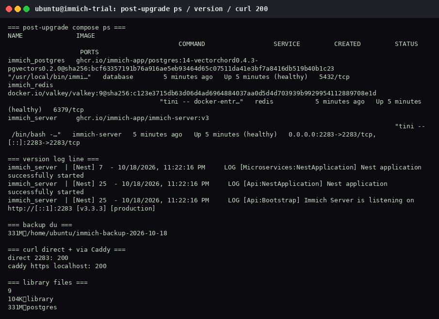 Post-pull compose ps with three healthy services, Immich Server listening as v3.3.3, curl 200 on port 2283 and via Caddy, library still 9 files.