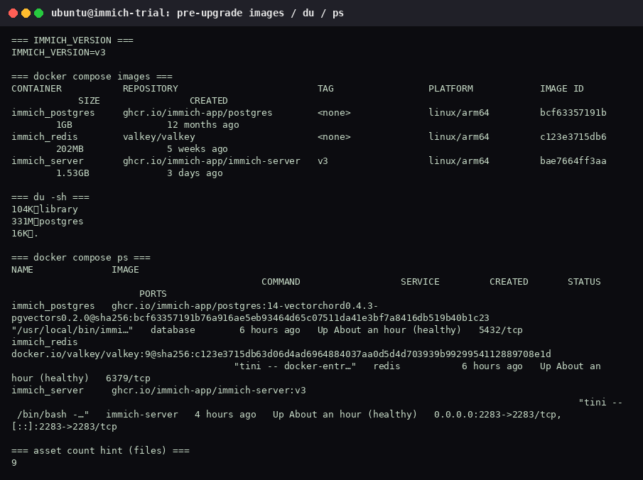 Pre-upgrade terminal: IMMICH_VERSION=v3, server image bae7664ff3aa, library 104K, postgres 331M, and nine library files.